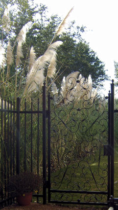 gate with fencing - weaver creative - evans weaver